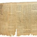 Real Questions: Do Jesus and Joe Rogan read the same Bible?